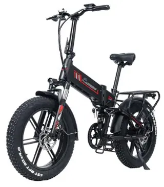 RANDRIDE YX20 Electric Bike 1000W Motor 45km/h Ma