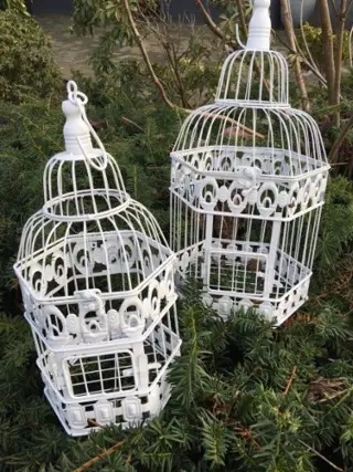 Vogelkooien , vogelkooi , vogel , kado