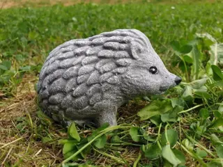 Kleine egel , vensterbank beeldje , egel