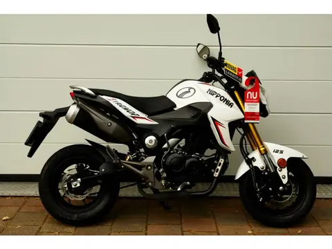 Honda GROME 125 A1 A2 (bj 2021)