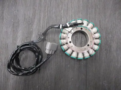 DYNAMO BMW F 900 R 2019 - 2021