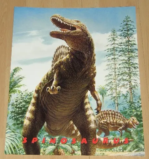 POSTER 50X40 CM KINDER DIVERSEN COLL 2 NIEUW