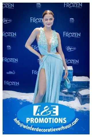 Kerst etalering verhuur brabant turnhout