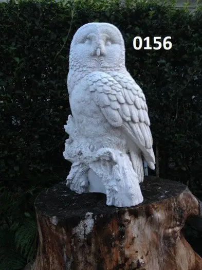 Witte Steen Uil op stam.