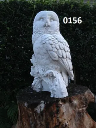 Witte Steen Uil op stam.