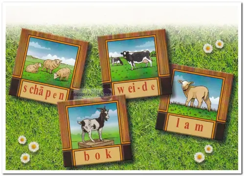 Ansichtkaart: Leesplankje met 4 afbeeldingen