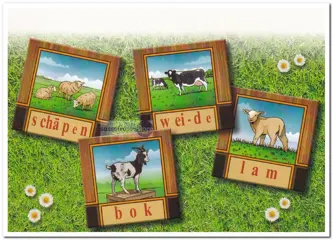 Ansichtkaart: Leesplankje met 4 afbeeldingen