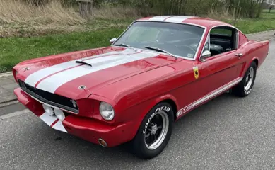 FORD MUSTANG Fastback GT350 Tribute