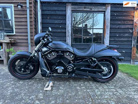 Harley Davidson Chopper VRSCD Night-Rod
