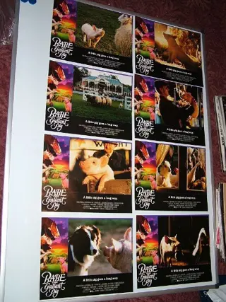 BABE THE GALLANT PIG lobbycard set.