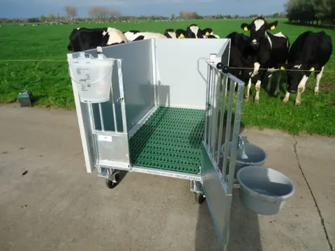 Kalverhokken. Kalverhok. Kalverboxen. Kalverbox. Eenlingbox. Kalverhuisvesting.Kalverstal