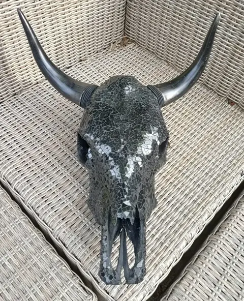 Buffel schedel ingelegd in glas--een sieraad in huis