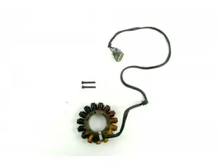 Used Dynamo Tiger 800