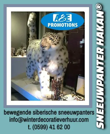 Winterwonderland aankleding utrecht frozen huren