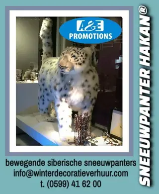 Winterwonderland aankleding utrecht frozen huren