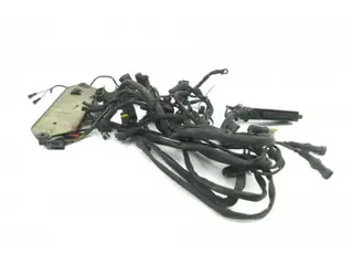 Used kabelboom California EV Injectie