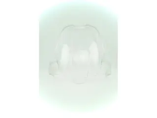 Used Windscherm Tiger 800 helder