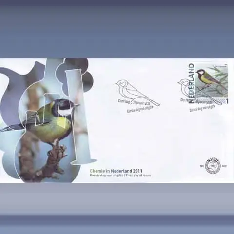 Koolmees (31januari2011)