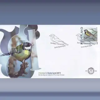 Koolmees (31januari2011)