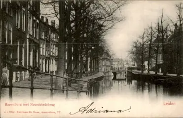 Nederland - Leiden - Ansichtkaarten (Collectie van 89) - 1900-1960
