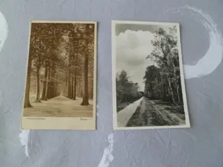 Nederland - Stad en Landschap - Kerken-Landschap-Steden. - Ansichtkaarten (Collectie van 108) - 1930-1985