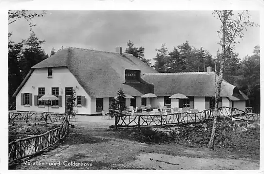 Nederland - Gelderland met o.a. Winterswijk en Harderwijk - Ansichtkaarten (200) - 1920