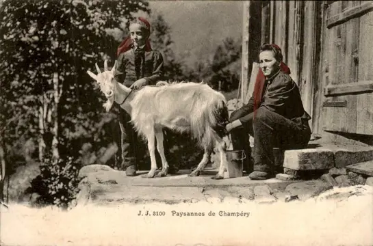 Zwitserland - Ansichtkaarten (Collectie van 111) - 1900-1970