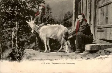 Zwitserland - Ansichtkaarten (Collectie van 111) - 1900-1970