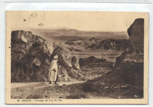 Algerije - Noord Afrika - Diverse plaatsen en bezienswaardigheden - Ansichtkaarten (Collectie van 120) - 1900-1950