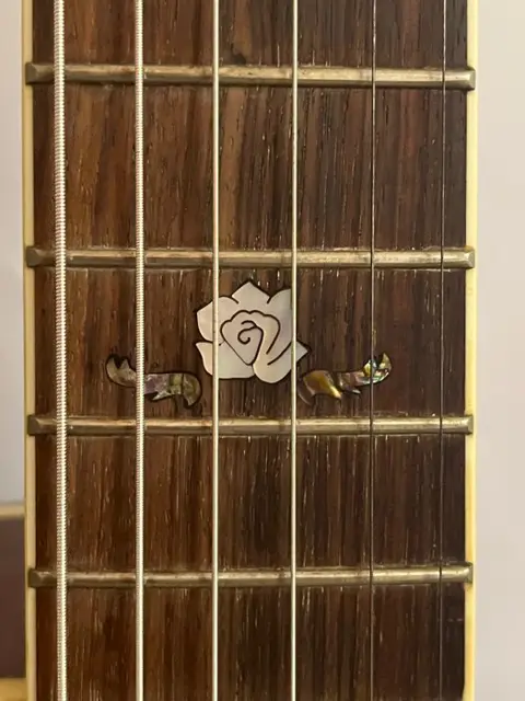 Clayton - guitare electro acoustique - Gitaren - VS - 2010