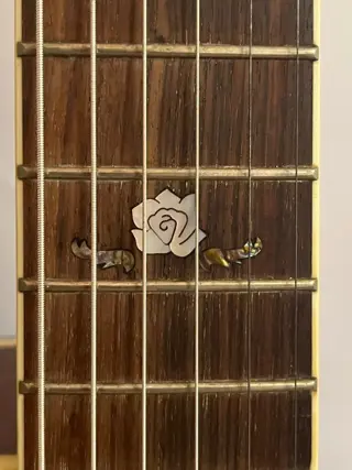 Clayton - guitare electro acoustique - Gitaren - VS - 2010