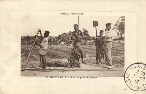Donker Afrika - Etnische types - Diverse landen o.a. Senegal, Fr Congo, Soedan etc. - Ansichtkaarten (Collectie van 56) - 1910-1960