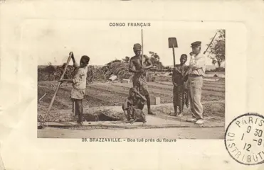 Donker Afrika - Etnische types - Diverse landen o.a. Senegal, Fr Congo, Soedan etc. - Ansichtkaarten (Collectie van 56) - 1910-1960