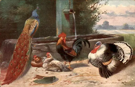 Dieren - Ansichtkaarten (Collectie van 102) - 1900-1950