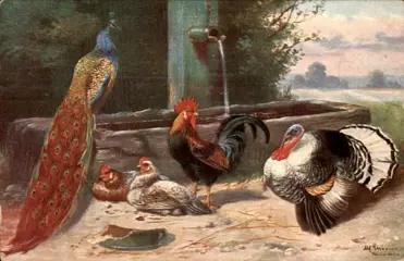 Dieren - Ansichtkaarten (Collectie van 102) - 1900-1950