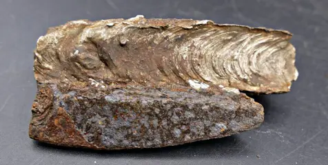 Duitsland - WW1 Patriottische ringen gemaakt van loopgraafwerk + granaatscherven - 1914