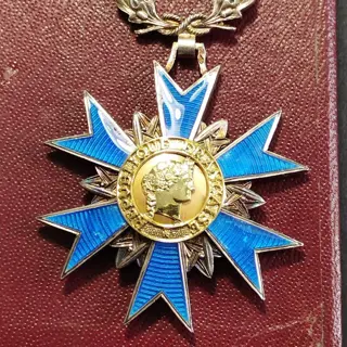 Frankrijk - Leger/Infanterie - Insigne, Medaille