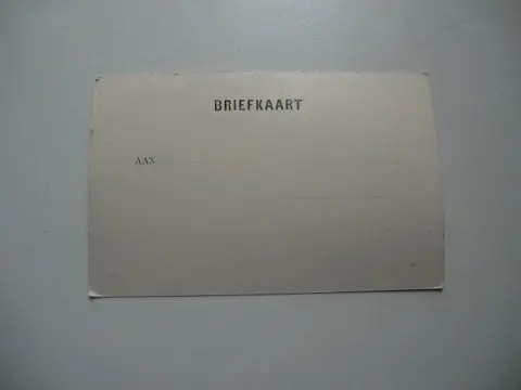 Nederland - Provincie Gelderland - Ansichtkaarten (100) - 1900-1970