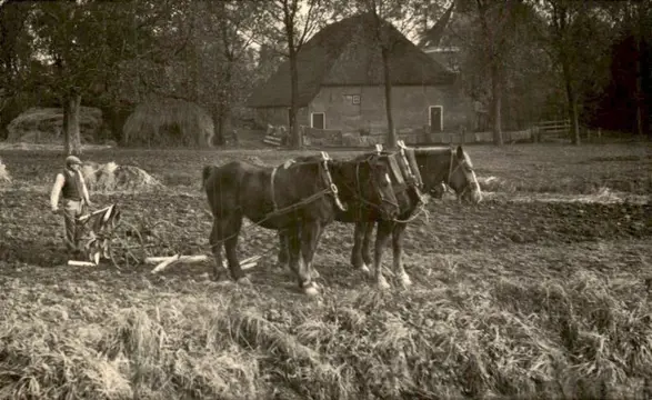 Nederland - Dordrecht - Ansichtkaarten (Collectie van 92) - 1900-1960