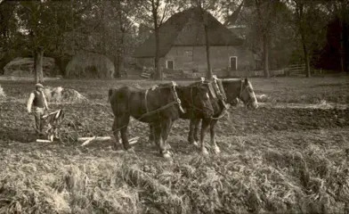 Nederland - Dordrecht - Ansichtkaarten (Collectie van 92) - 1900-1960