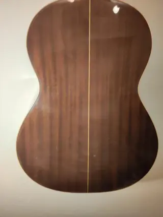 Raimundo - 112 - Zeshalsige Gitaar