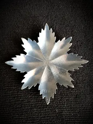 Duitsland - Borstster van het huis en de orde van verdienste van hertog Peter Friedrich Ludwig - REPLICA