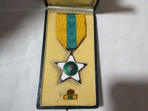 Italië - Ster van Verdienste voor Werk, onderscheiding, Italiaanse Republiek, jaren 50 - 60, met etui.