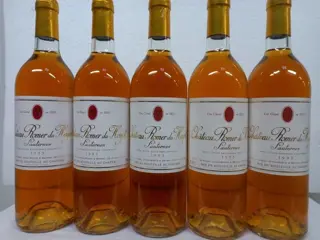 1993 Sauternes Château Romer du Hayot - Sauternes 2ème Grand Cru Classé - 5 Flessen (0.75 liter)