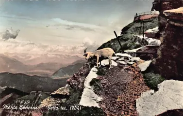 Zwitserland - Stad en Landschap - Ansichtkaarten (Collectie van 112) - 1910