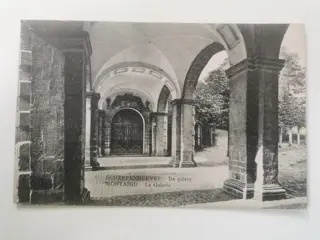 België - Stad en Landschap - Ansichtkaarten (Set van 50) - 1910