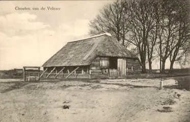 Nederland - De Veluwe - Ansichtkaarten (Collectie van 97) - 1900-1960