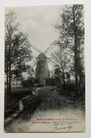Windmolen - Ansichtkaarten (Collectie van 68) - 1900