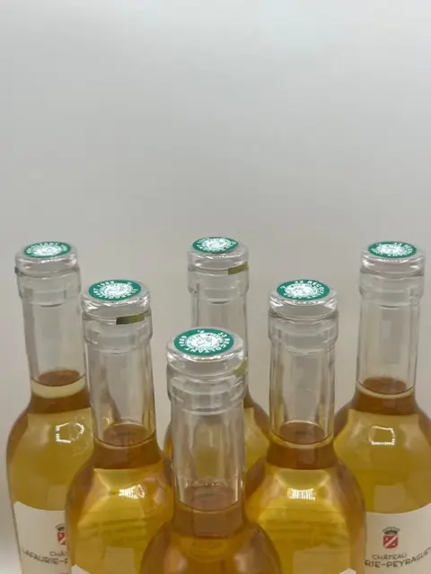 2016 Chateau Lafaurie-Peyraguey 1er Grand Cru Classé - Sauternes - 6 Halve fles (0.375 L)