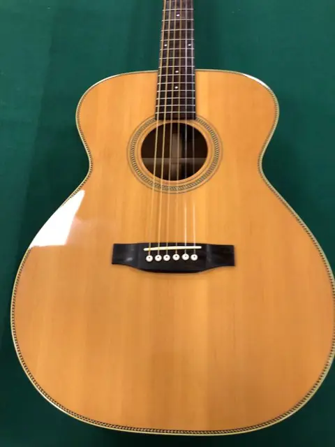 EKO/MANNE - AS Chitarra acustica - Akoestische gitaar